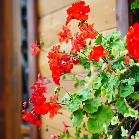 Babosko Apartamento Rimavská Sobota