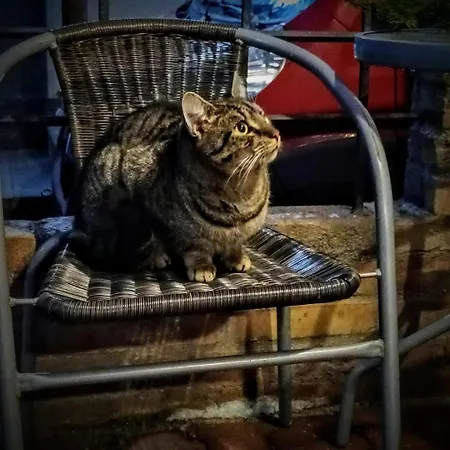 Διαμέρισμα Babosko *