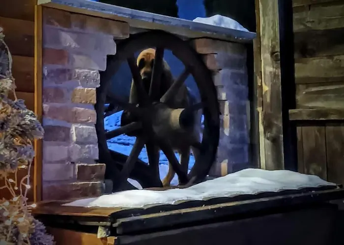 Babosko Апартаменты Римавска-Собота