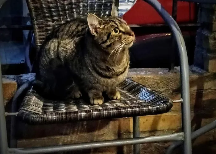 Апартаменты Babosko *